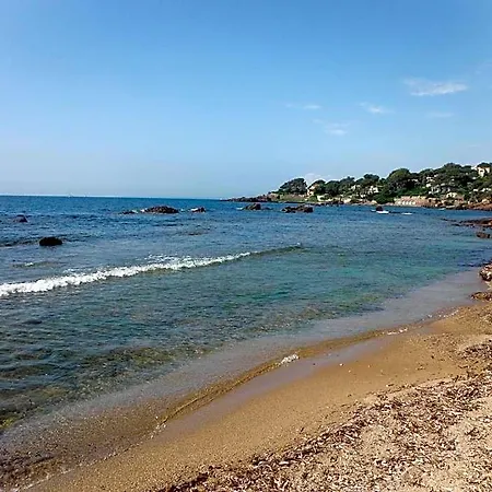 L'elephant Hotel Saint-Raphael (Var)